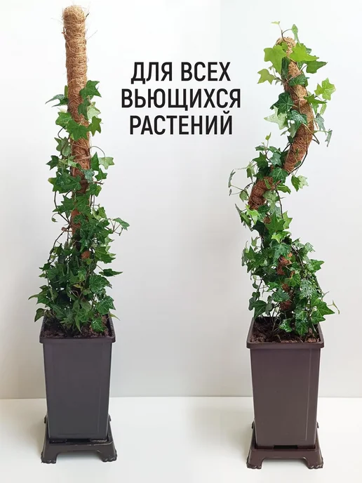 Garden Show Опора гибкая кокосовая для растений, h160см, d3см, коричневый, фото 3