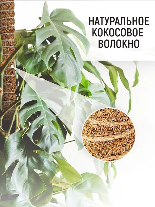 Garden Show Опора для растений круглая (4 кольца) металл h90см, коричневый, фото 2