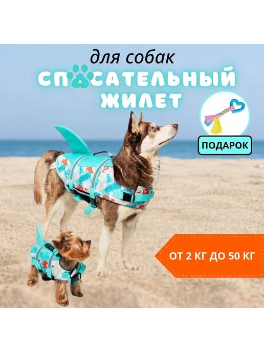 THE_ПЕС Спасательный жилет для собаки для плавания, голубой