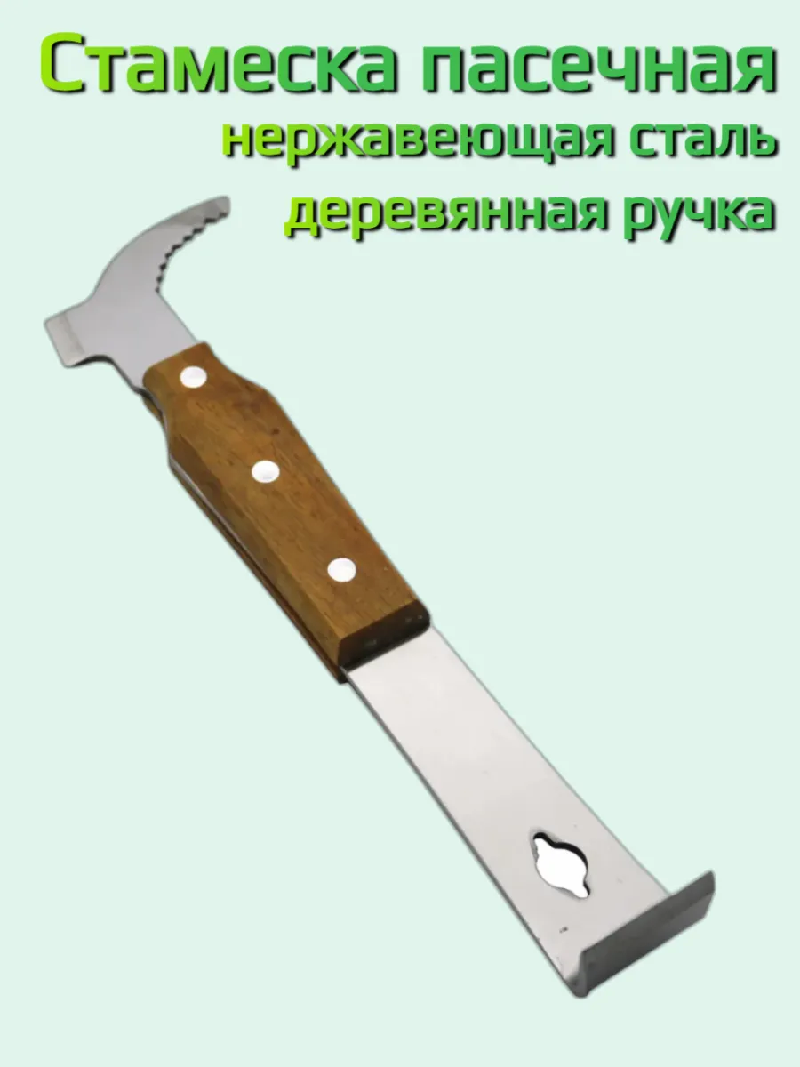 Стамеска пасечная