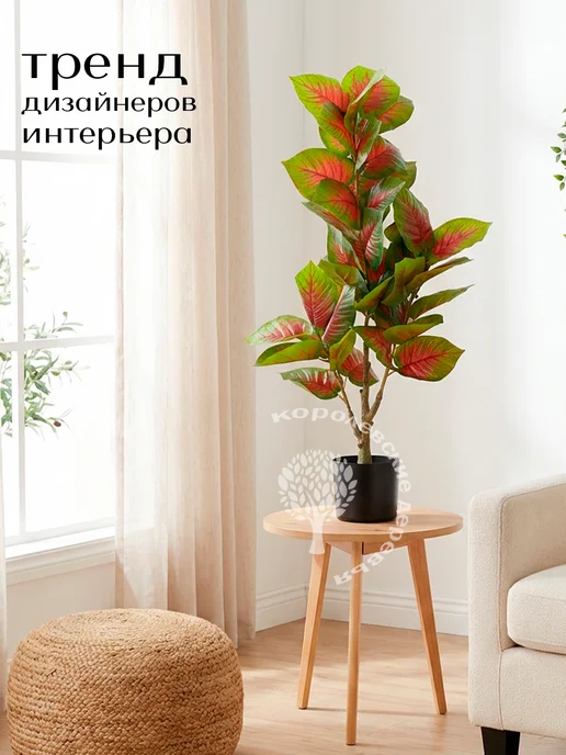 Королевские деревья Дерево искусственное Диффенбахия 110 см, зеленый, фото 7
