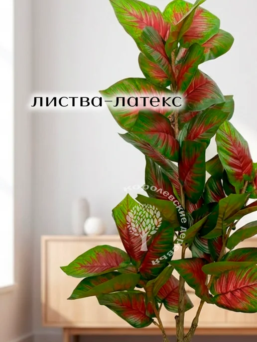 Королевские деревья Дерево искусственное Диффенбахия 110 см, зеленый, фото 8