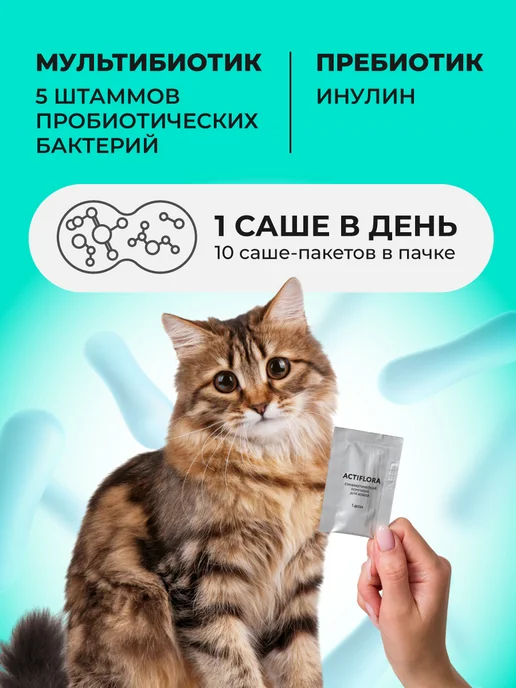 veda Пробиотики и пребиотик для кошек, комплекс Aктифлора, 10х1гр, 1 г, фото 2