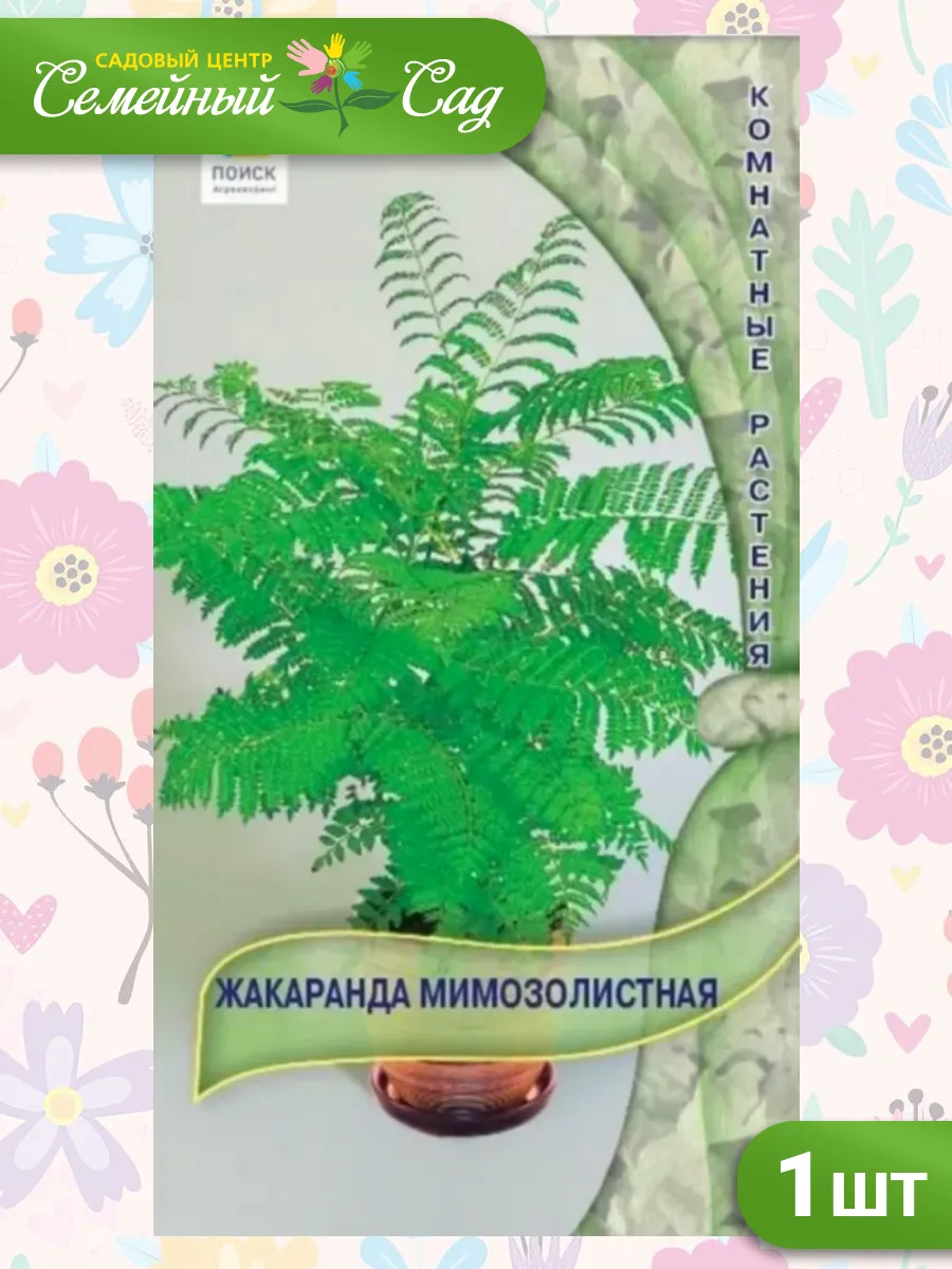 Семена Жакаранда мимозолистная 5шт