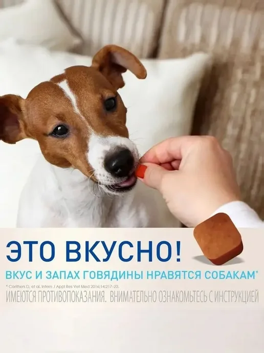 Нет бренда Фронтлайн Нексгард S 2-4 кг Упаковка 3 Таблетки, 1025 кг, фото 3