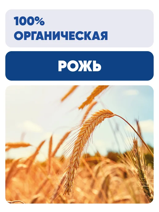 Чёрный хлеб Рожь для проращивания цельная органическая, 2 пакета по 1 кг, 1 кг, фото 4