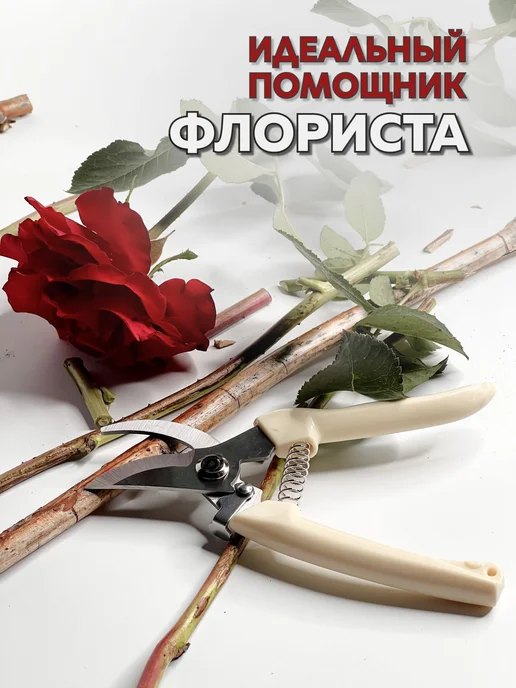 Секатор для сада обрезки веток и цветов бежевый, бежевый, фото 2