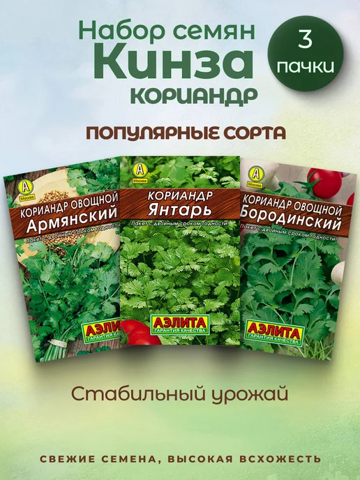 Агрофирма АЭЛИТА Кинза семена, зеленый, фото 2