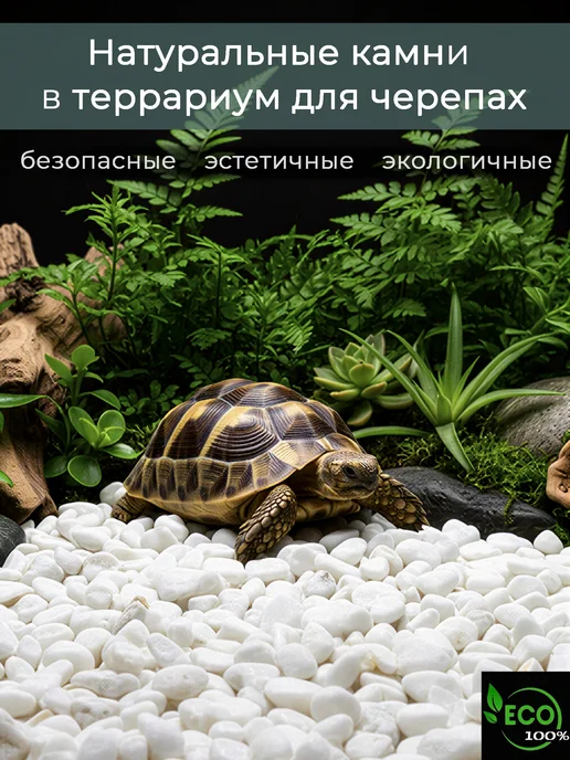 Аквазона Галька белая мраморная 10-20 мм 1 кг, 1 кг, фото 4