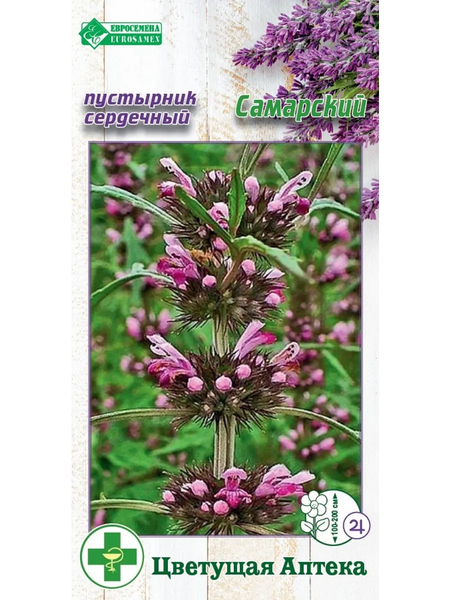 Семена : Пустырник сердечный "Самарский"