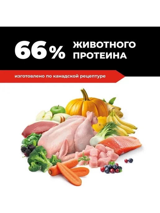 Сухой корм GO'KITCHEN для собак, индейка, курица, лосось, утка, 9,98 кг, фото 2