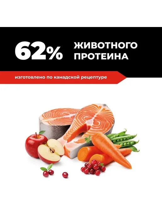 Сухой корм GO'KITCHEN Hair Skin для собак, лосось, 5,44 кг, фото 2