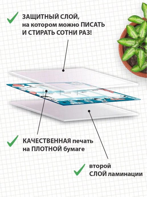 SONNE HOME Расписание для уроков многоразовое для детей и школьников, голубой, фото 2
