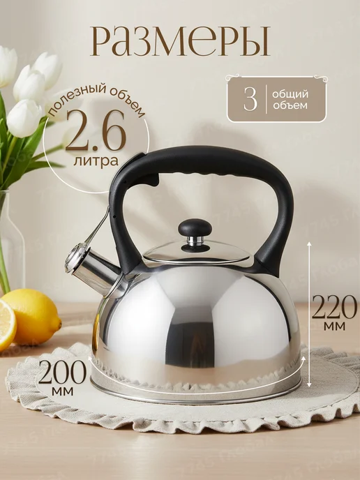 PERFECTO LINEA Чайник со свистком для газовой плиты Nilgiri 3 л 52-030003, 3 л, фото 3