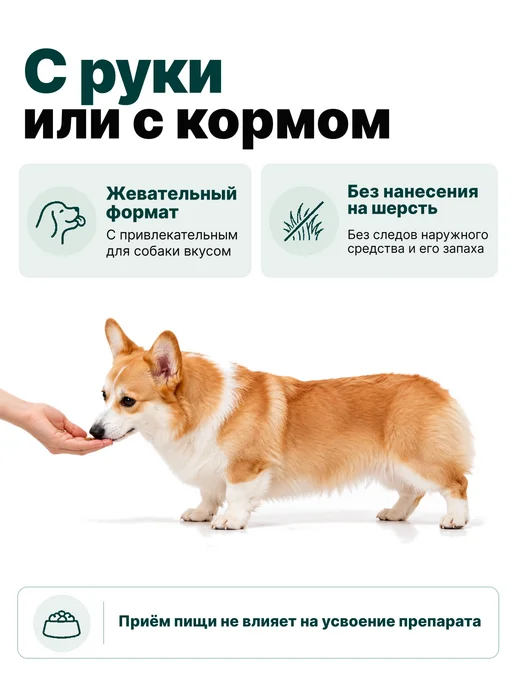 Zoetis Симпарика, 3 табл. по 40мг от блох и клещей, от 10,1-20 кг, 10,12 кг, фото 6