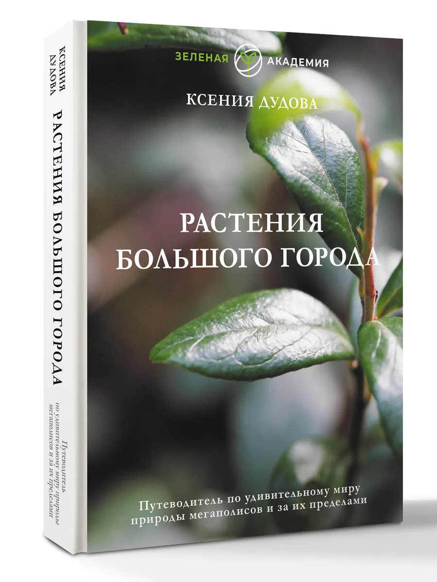 Растения большого города. Путеводитель по удивительному