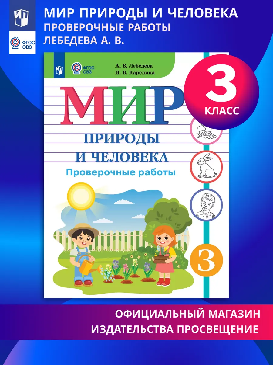 Мир природы и человека 3 класс Проверочные работы ОВЗ