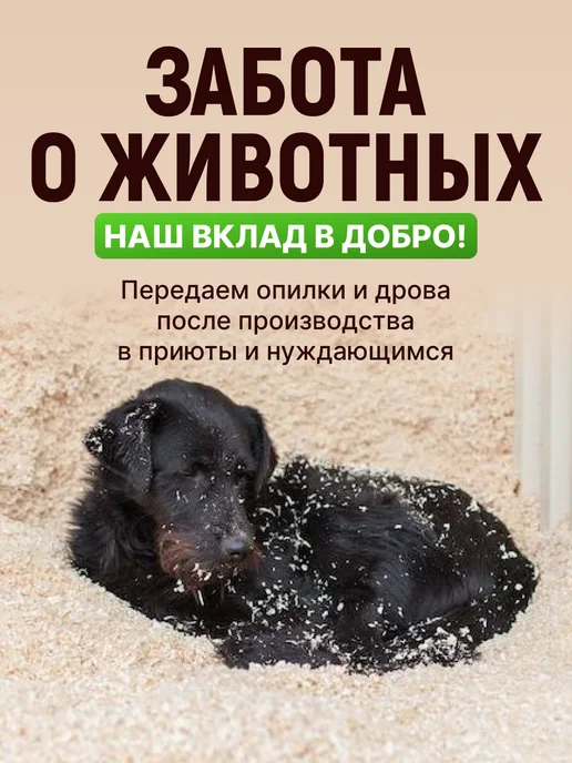 GVS WooD Кресло шезлон кентукки деревянное стул для сада, желтый, фото 7