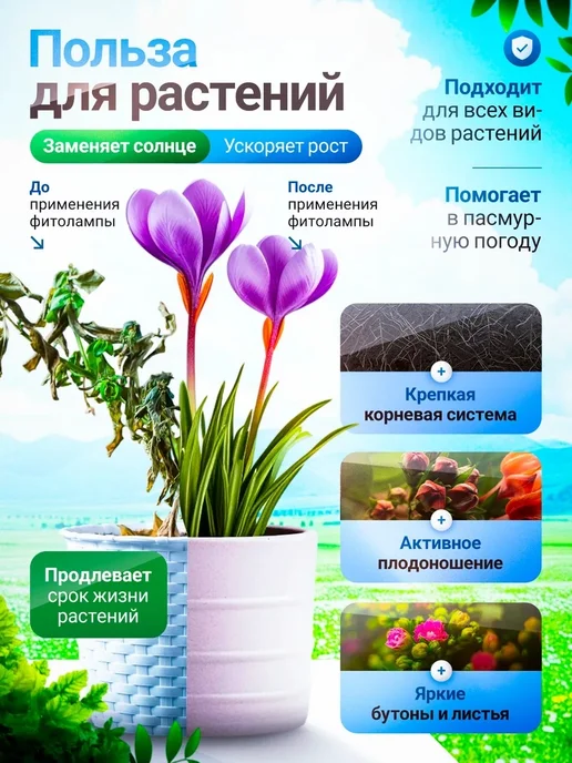 Solvita Фитолампа, вариант, фото 2