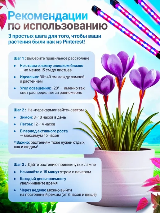 Solvita Фитолампа, вариант, фото 5