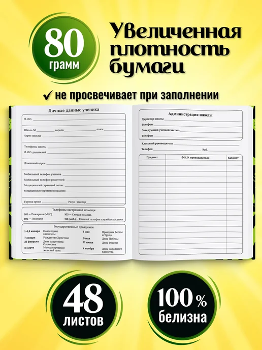 ШКОЛЬНЫЙ МИР Дневник школьный для мальчика 1-4 5-11 класс твердая обложка, зеленый, фото 3