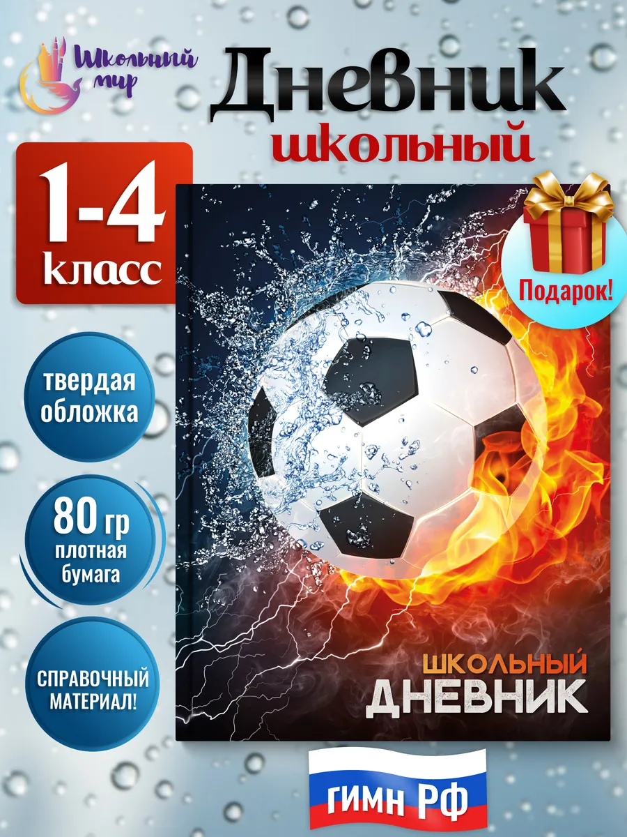 Дневник школьный для мальчика 1-4 класс в твердой обложке