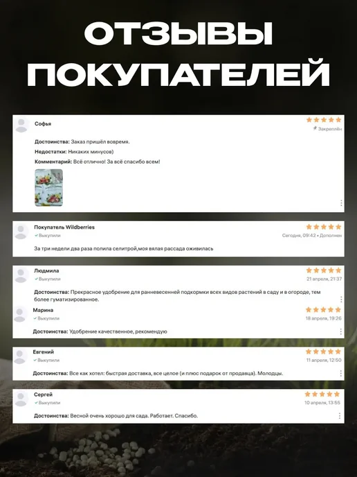 Садовита Аммиачная селитра азотное удобрение для огорода 1 кг 2 шт, 3 кг, фото 8