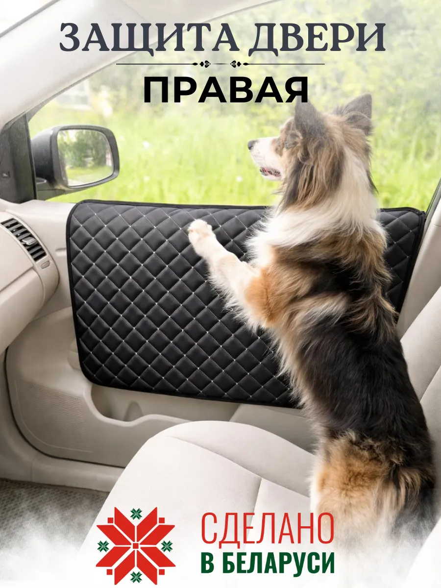 Защита двери автомобиля от собак