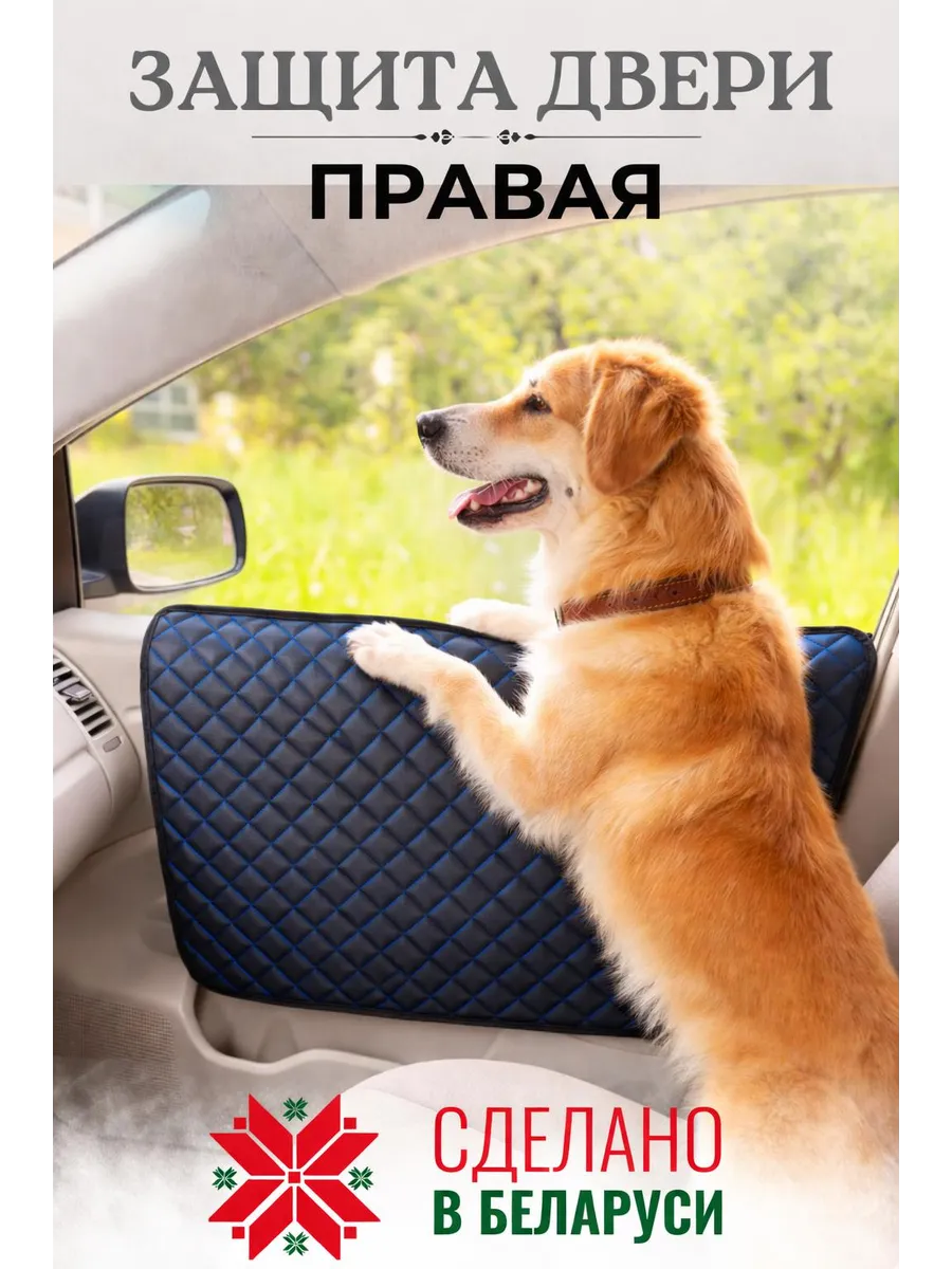 Защита двери автомобиля от собаки