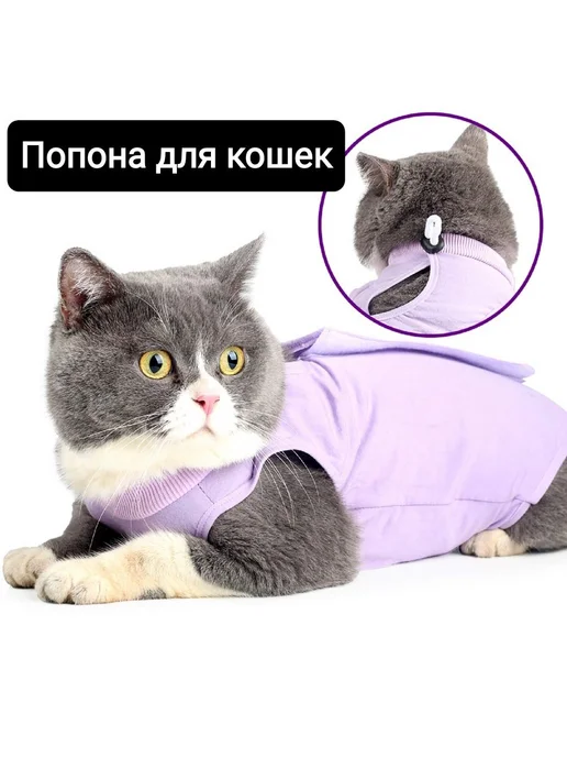 Попона для кошек послеоперационная фиолетовый, M, фиолетовый