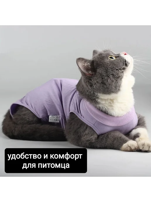 Попона для кошек послеоперационная фиолетовый, M, фиолетовый, фото 4