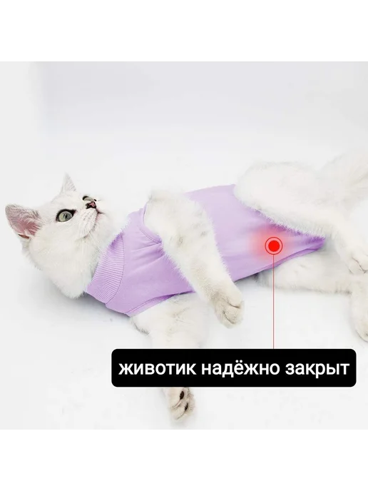 Попона для кошек послеоперационная фиолетовый, M, фиолетовый, фото 7