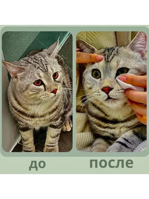 Влажные салфетки для глаз ушей животных гипоаллергенные 100ш, вариант, фото 6