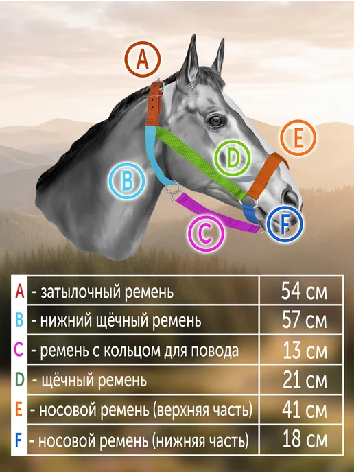 REITER Недоуздок с поводом для лошадей капроновый 35 мм, вариант, фото 2
