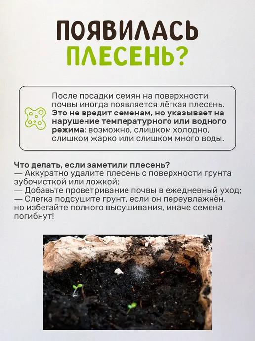 Сад на окне Земляника Набор для выращивания растений, вариант, фото 2