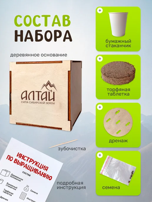 Сад на окне Багульник Набор для выращивания растений, вариант, фото 3