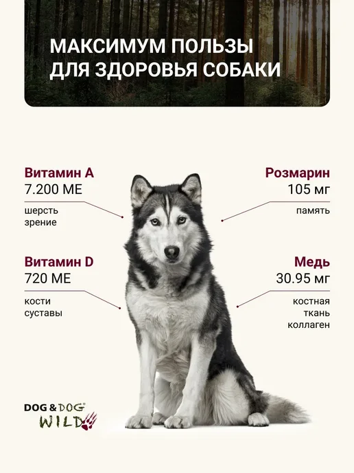 Сухой корм Dog&Dog Кабаном для собак, 12 кг, фото 5