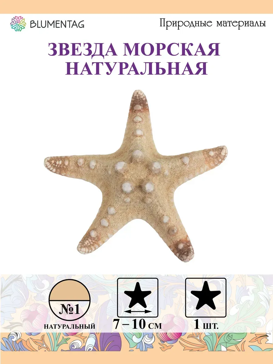 Звезда морская 10 см, 1 шт