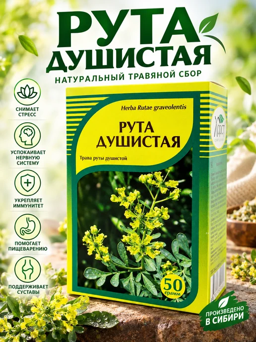 ХОРСТ Рута душистая трава 50 г натуральная, 50 г