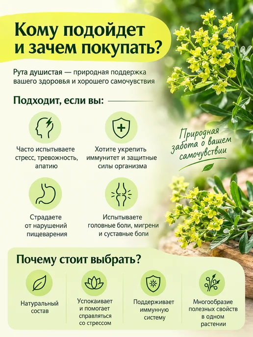 ХОРСТ Рута душистая трава 50 г натуральная, 50 г, фото 2