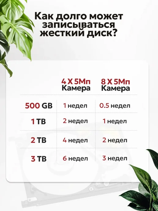 EXPGlobal Комплект видеонаблюдения уличный 5МП 6 IP камеры, белый, фото 8