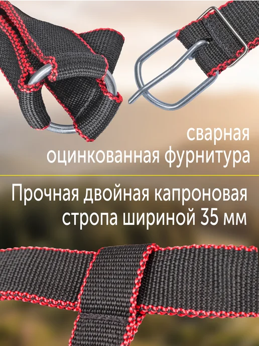 REITER Недоуздок с поводом для лошадей капроновый 35 мм, черный, фото 3