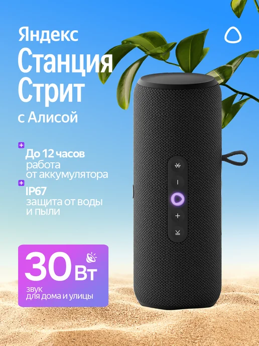 Яндекс Умная портативная колонка Станция Стрит с Алисой, вариант