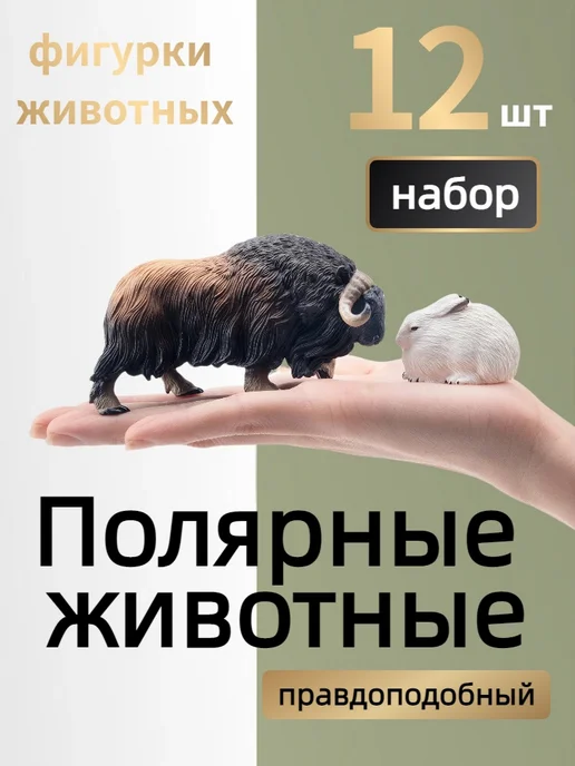 Toymany Фигурки животных Арктики 12 шт, 12 шт