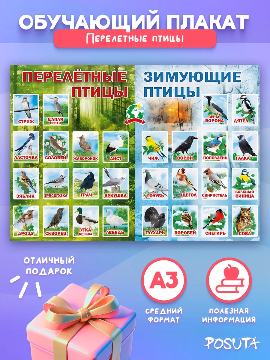 Обучающие постеры на стену перелетные птицы