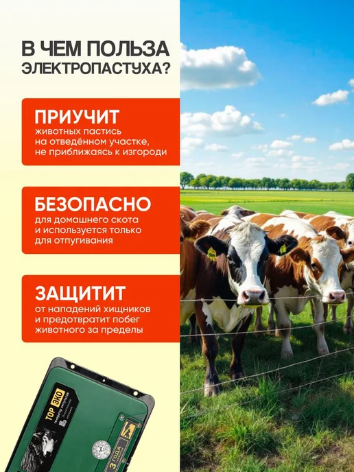 Kaas Электропастух ТОР -15 Эко 15дж 12в 220В, вариант, фото 5