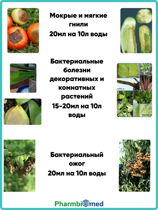 Pharmbiomed Стрекар,КС 500мл, Фитолавин ВРК-1литр, фото 5