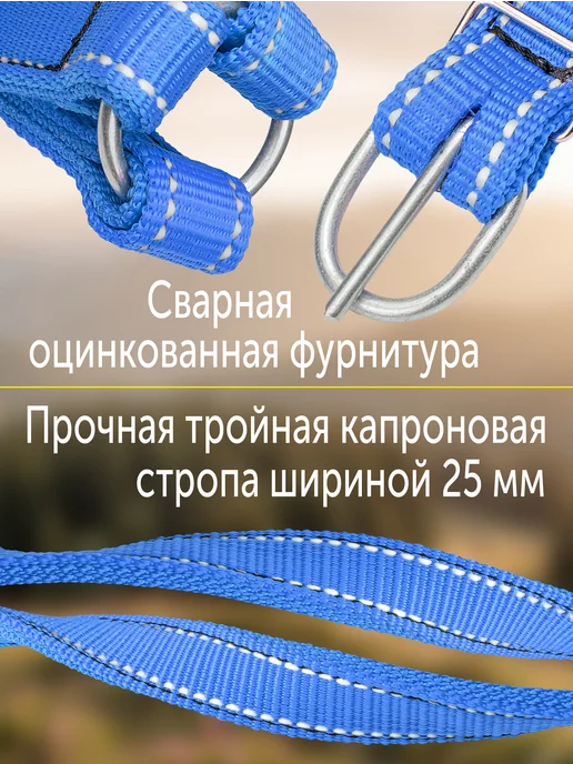 REITER Недоуздок светоотражающий, тройной капрон, 25 мм, синий, фото 3