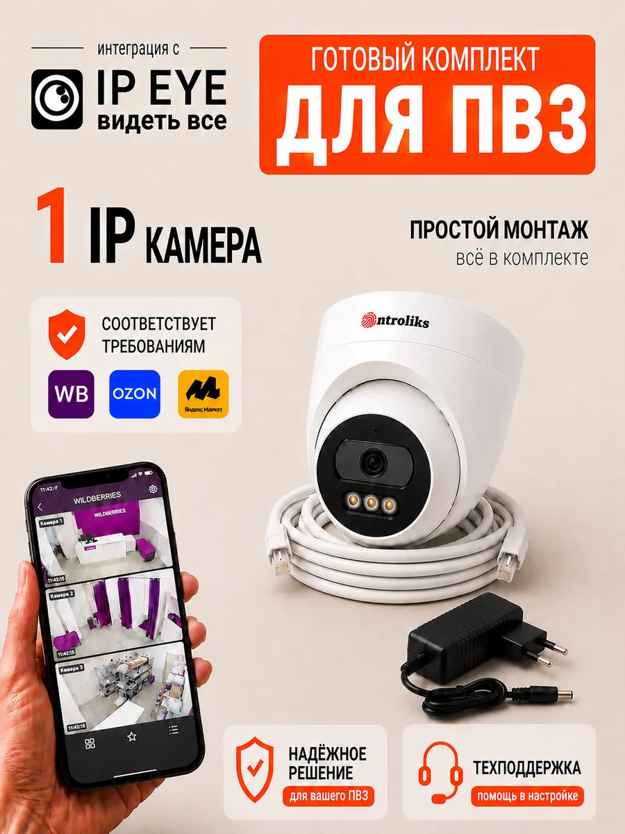Камера для ПВЗ с сервисом IPEYE Готовый комплект