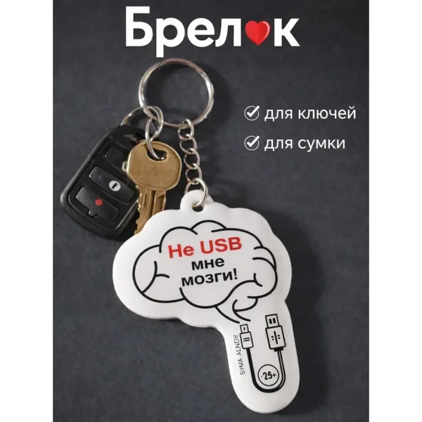 Брелок для ключей Не Usb мне мозги